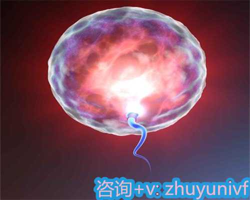 沈阳借卵与福州助孕合法性解析及FSH偏高备孕指南